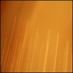 016_blue-art